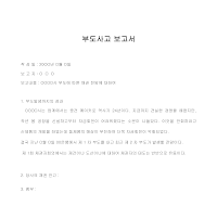 보고서 (부도사고) 보고서 (부도사고)